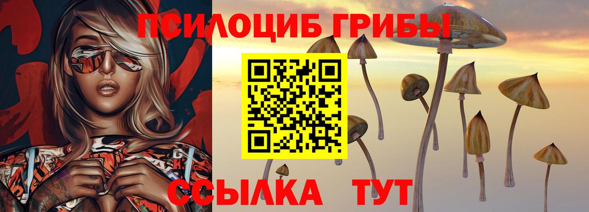 Псилоцибиновые грибы ЛСД Похвистнево